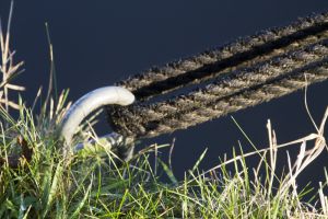 scholar green canal rope 1 sm.jpg